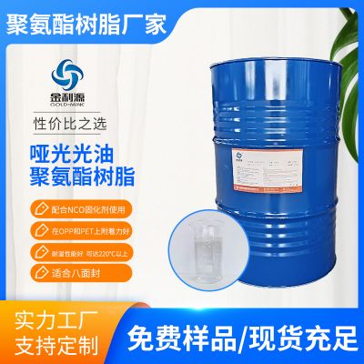 S-6883L-2 high efficiency and cost-effective polyurethane resin for matte glossy ink 